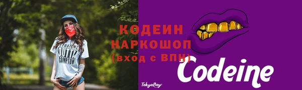 скорость Гусев